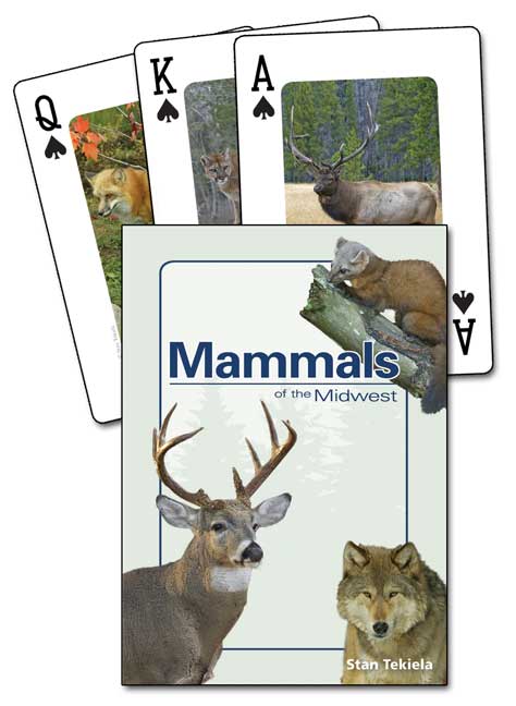 Mammals of the Midwest Playing Cards